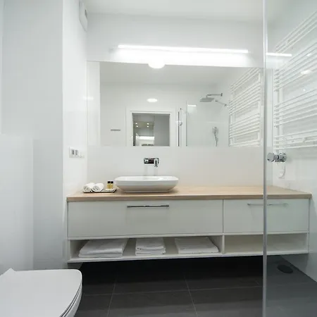 Mariacka Old Town Apartment Stettin